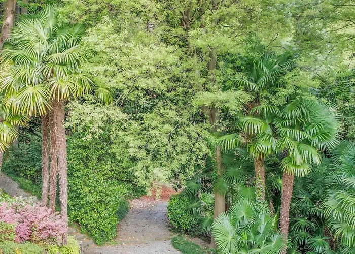Immerso Nella Natura A Due Passi Dal Maggiore